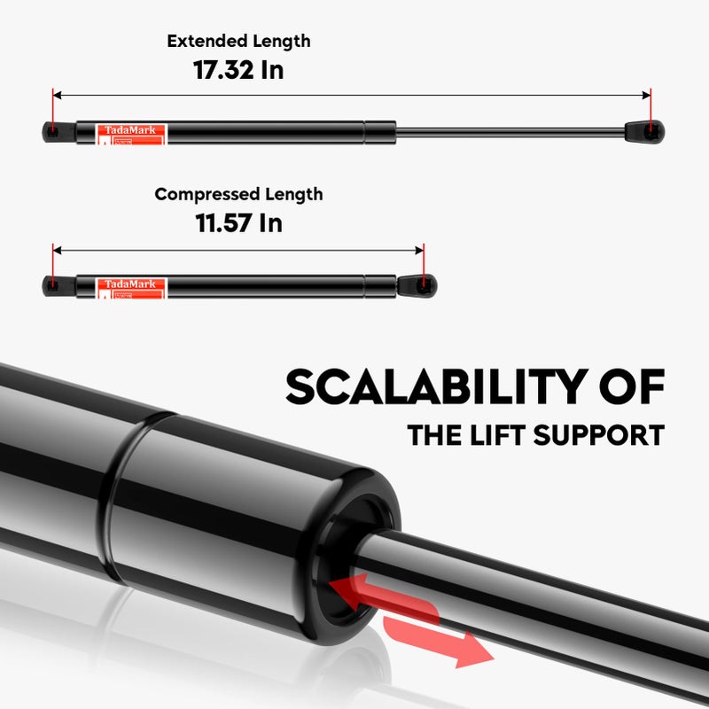 TadaMark Hood Struts Lift Support Compatible with 1999-2007 Ford F250 F350 F450 F550 Super Duty, Front Hood Shocks Replacement for Ford Excursion 2000-2005, SG304029 4339, 2 PCS - Image 2